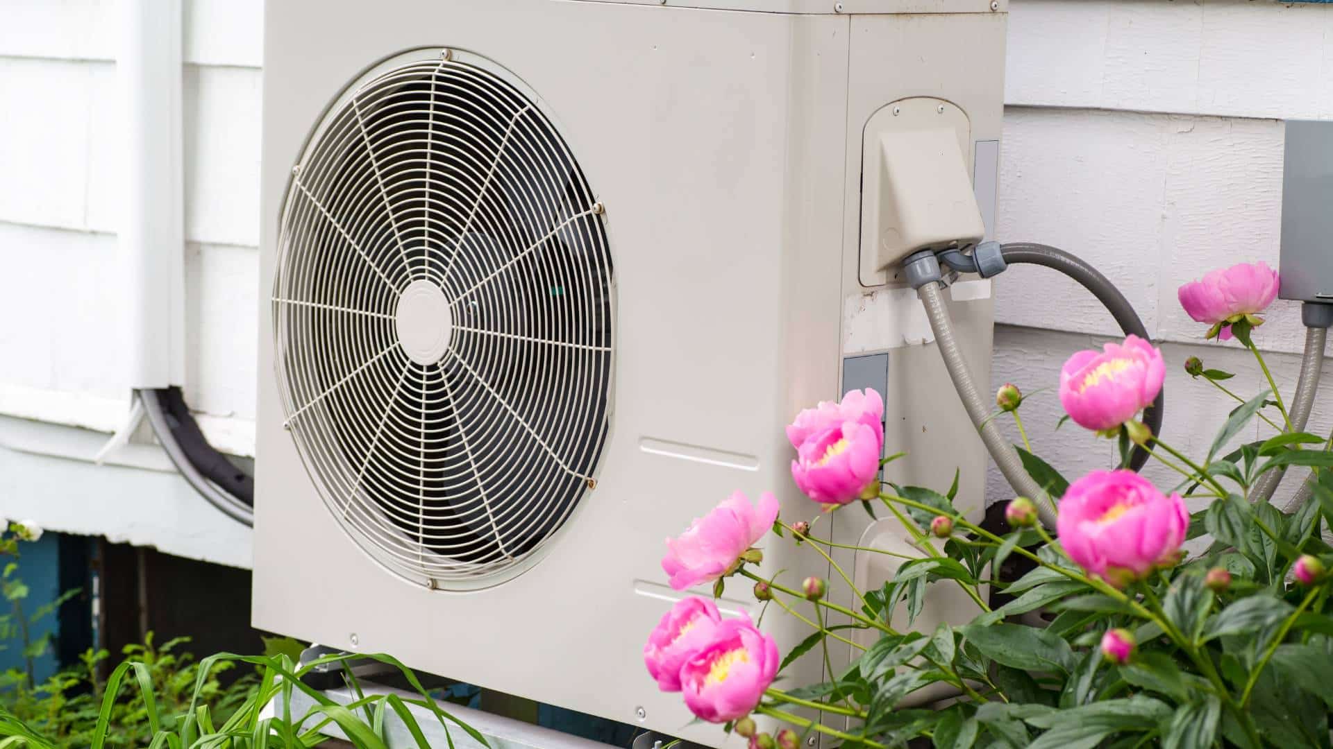 Flowers grow next to a heat pump at a residential house.  