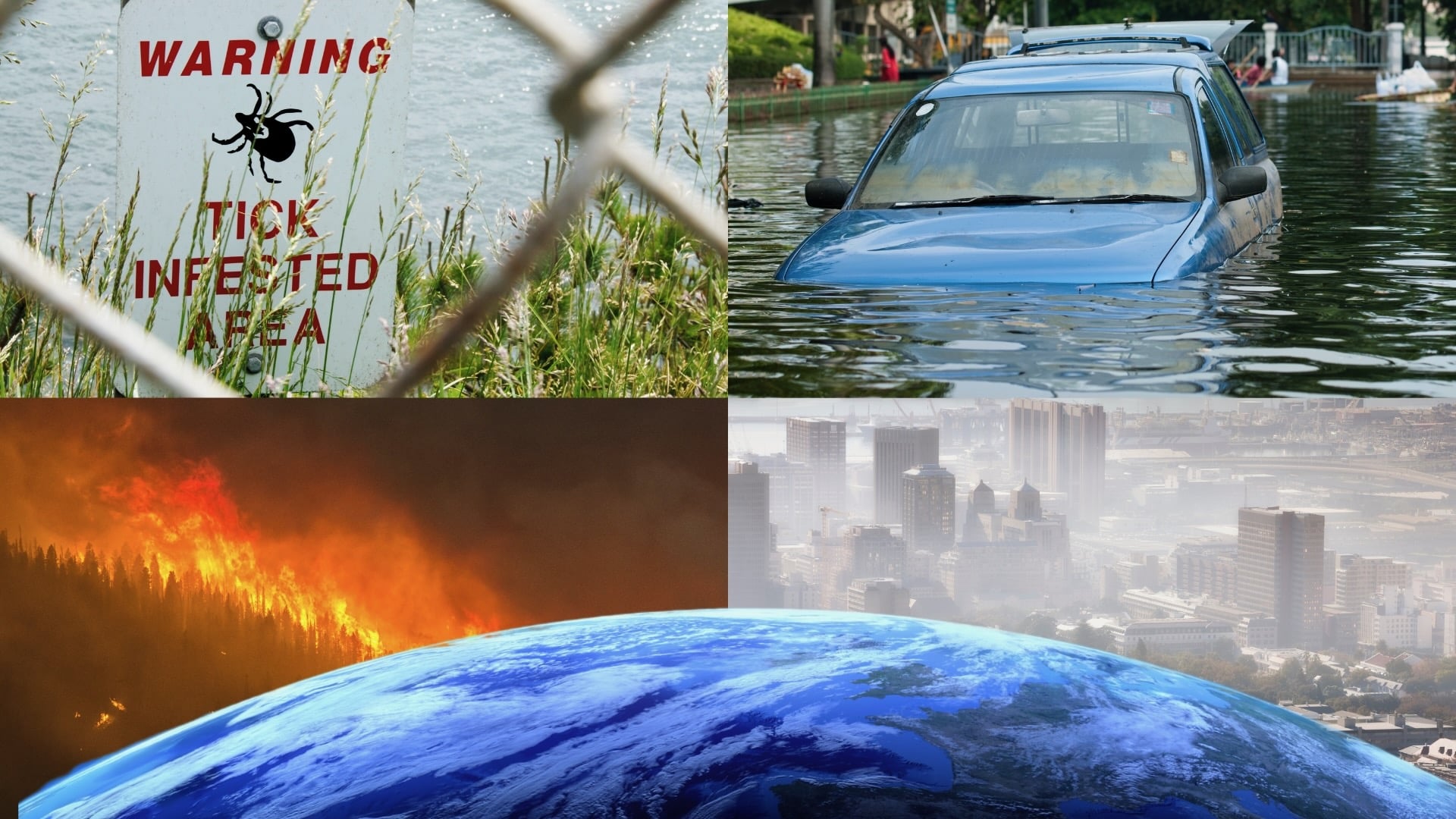 Photo montage of climate change and the earth.