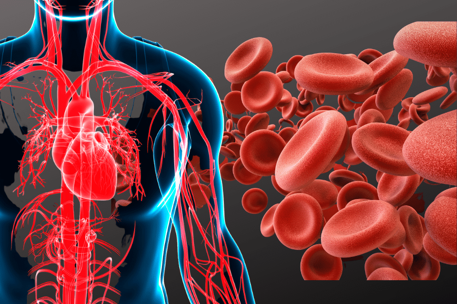 Tackling anemia will take more than iron pills